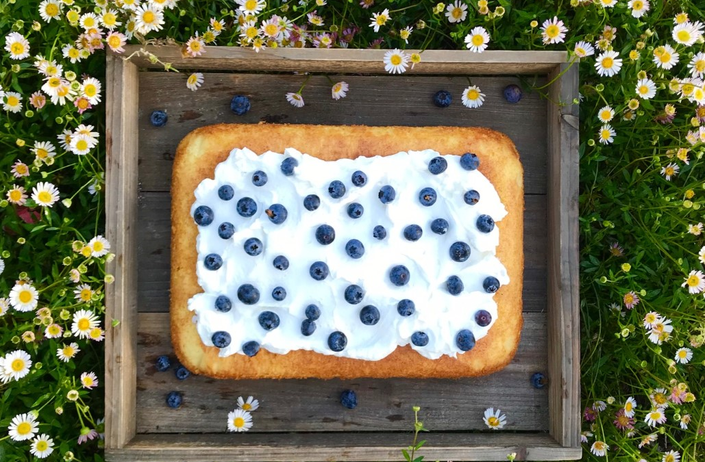 Perfect Spring Traybake Cake