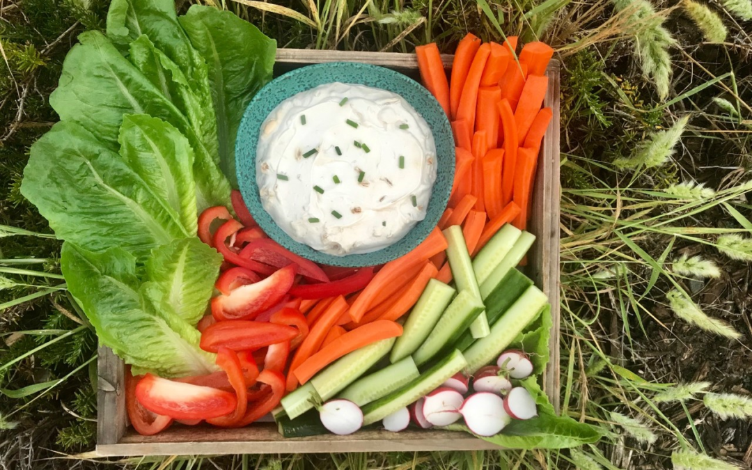 Perfect Picnic Onion Dip